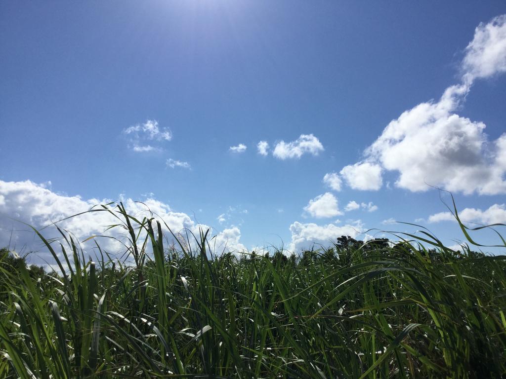 הוסטל Ishigaki  Minshuku Zabaru מראה חיצוני תמונה